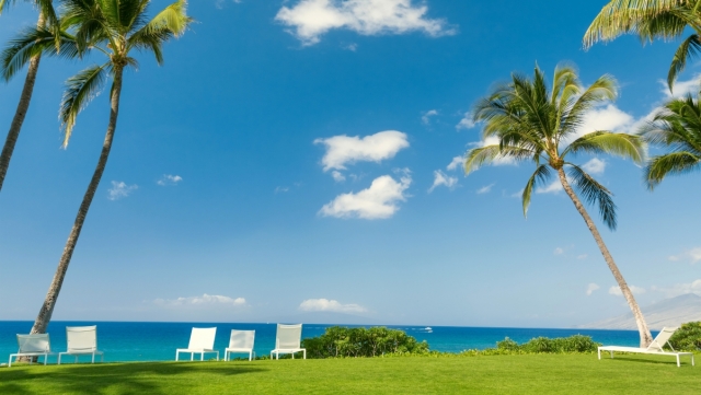 米乐M6集团：乒乓球台内围球